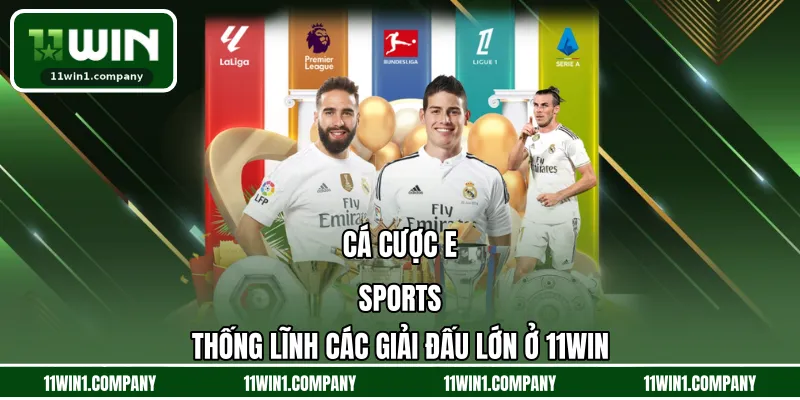 Cá Cược E-Sports