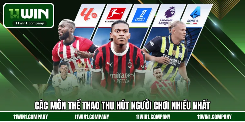 Các môn thể thao thu hút người chơi nhiều nhất