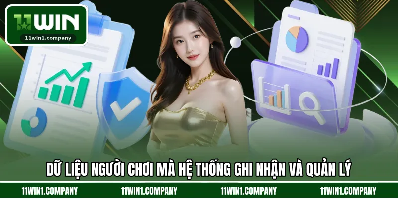 Dữ liệu người chơi mà hệ thống ghi nhận và quản lý