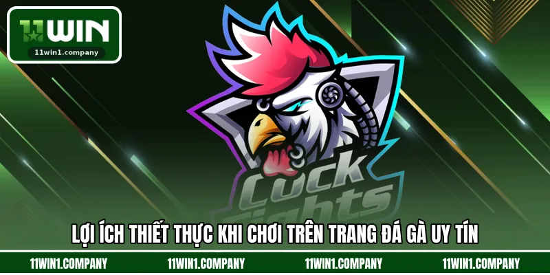 Lợi ích thiết thực khi chơi trên trang đá gà uy tín