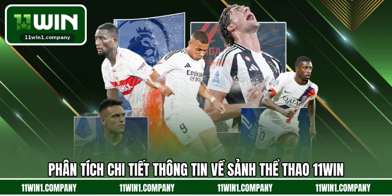 Phân tích chi tiết thông tin về sảnh thể thao 11WIN