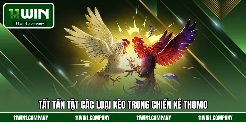 Tất tần tật các loại kèo trong chiến kê Thomo
