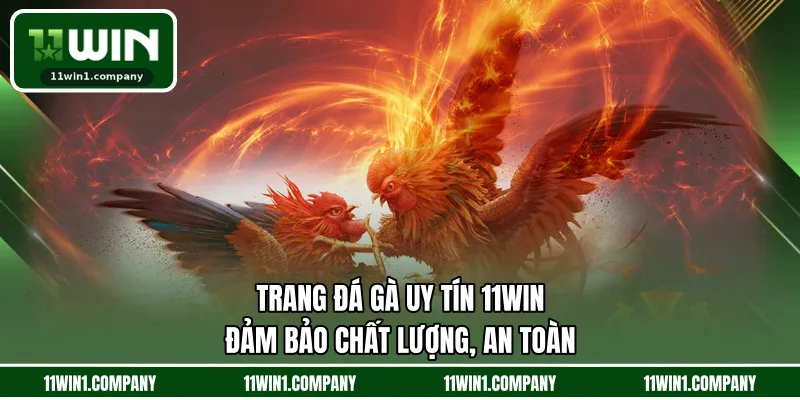 Trang Đá Gà Uy Tín 11WIN